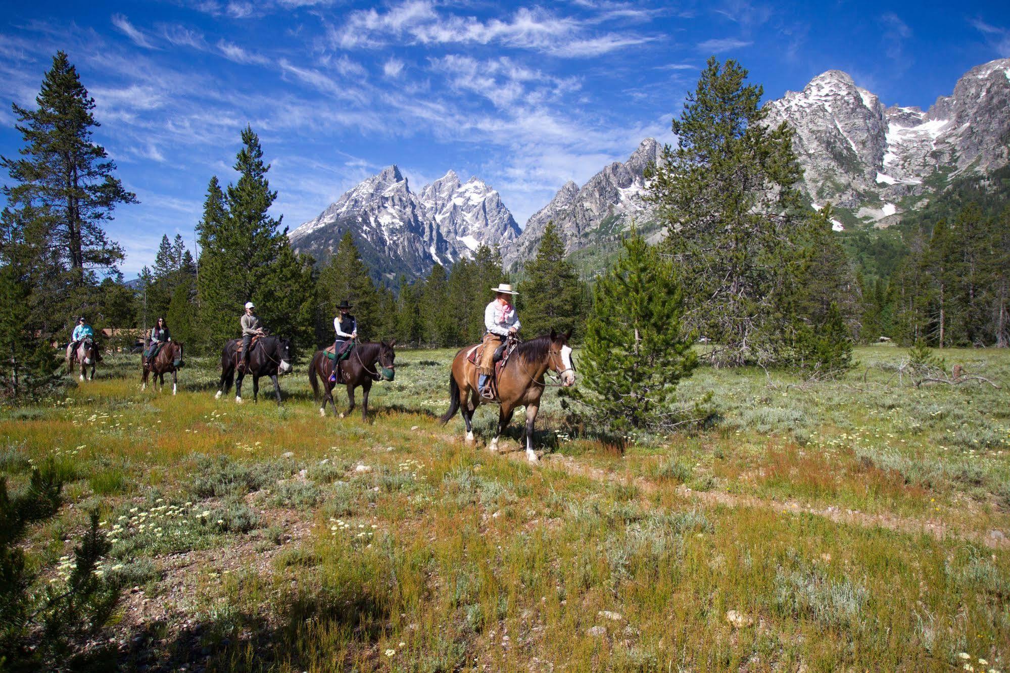 Jenny Lake Lodge Beaver Creek エクステリア 写真