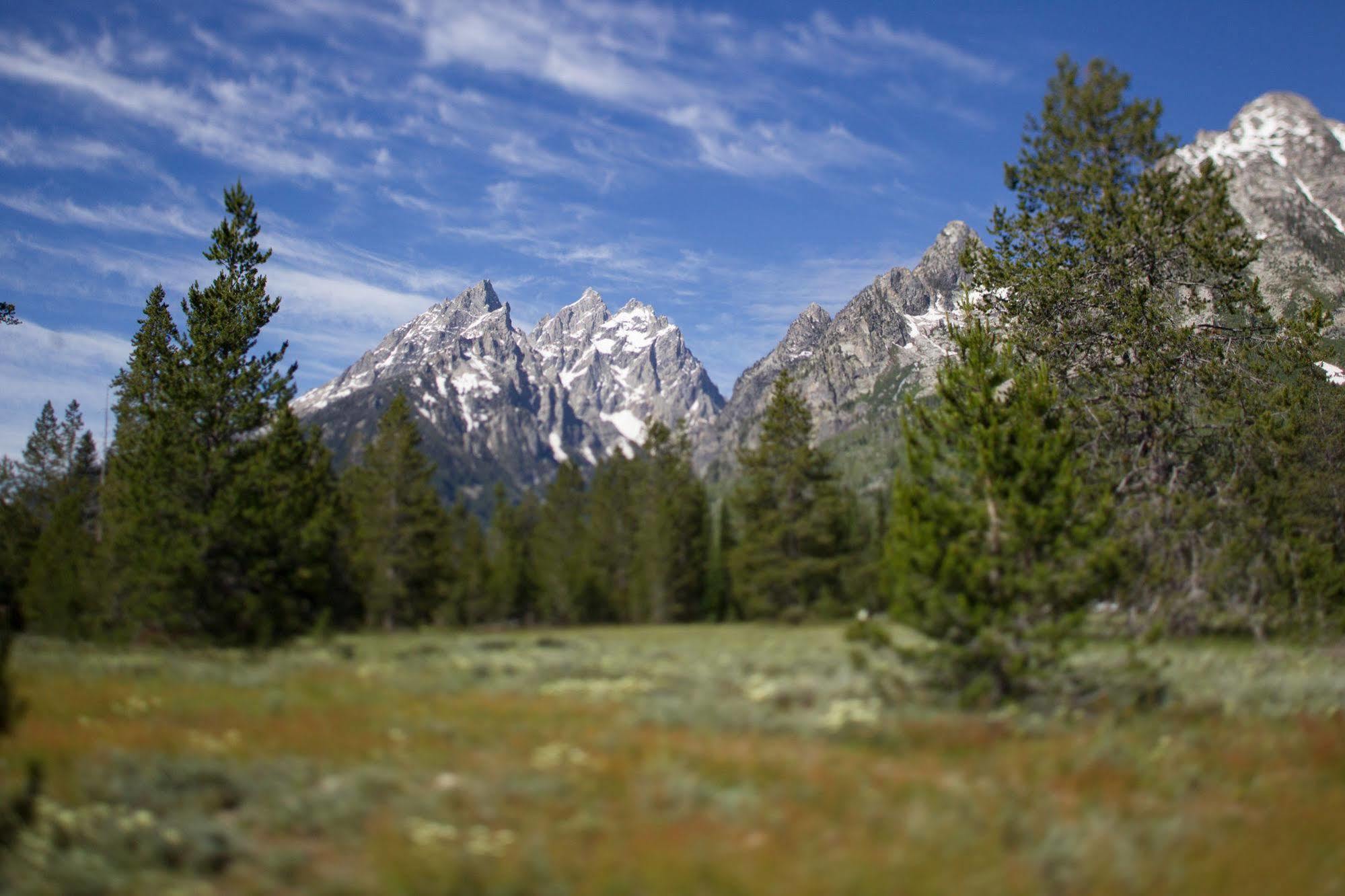 Jenny Lake Lodge Beaver Creek エクステリア 写真